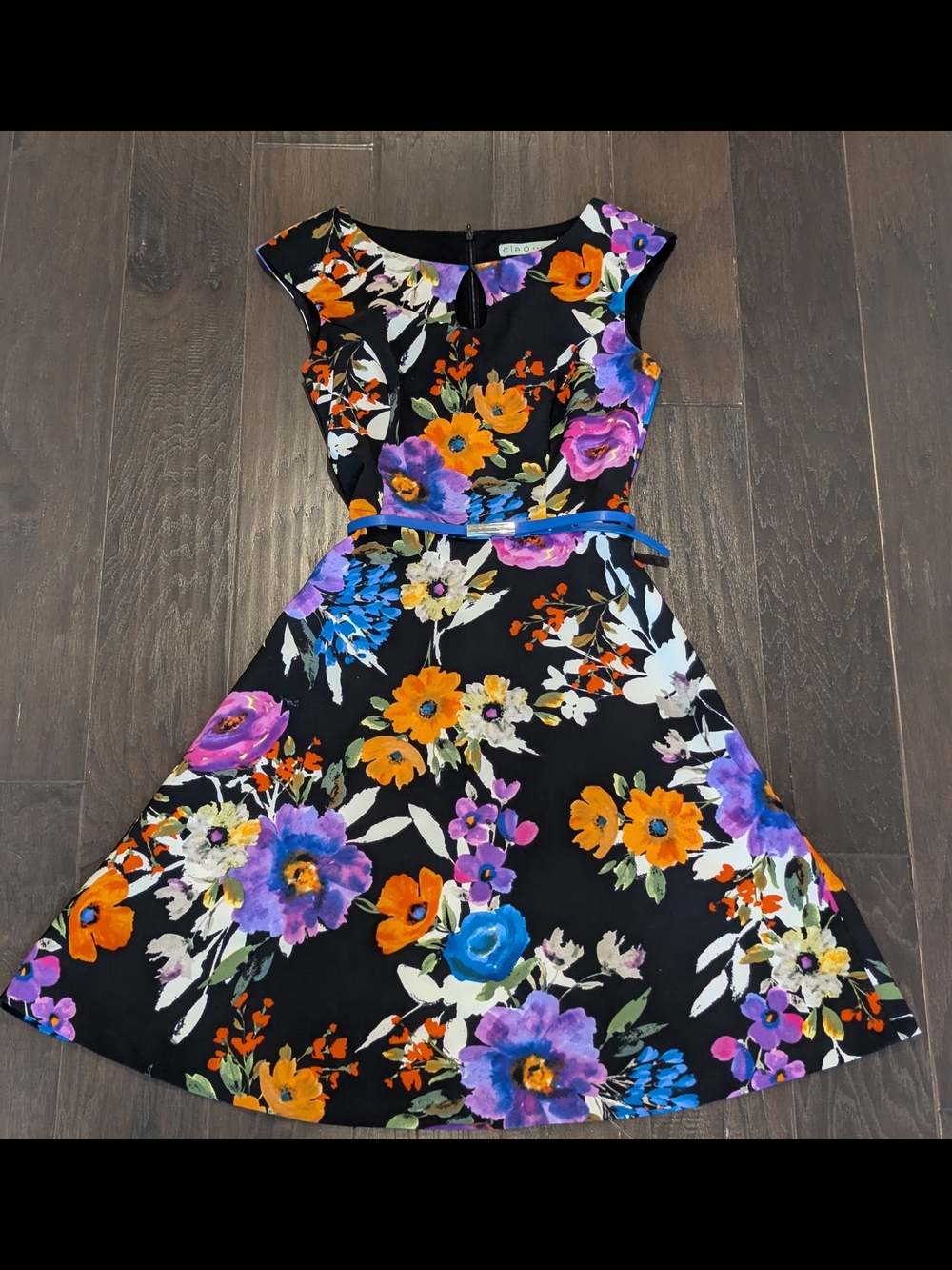 Cleo Petites Black Floral Fit-and-Flare Dress with Blue Belt